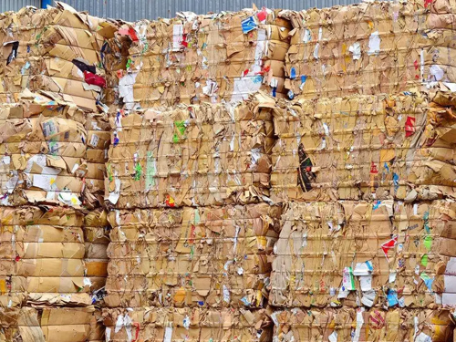 废纸回收